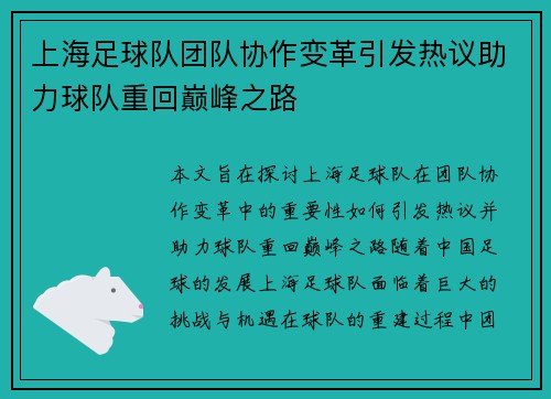上海足球队团队协作变革引发热议助力球队重回巅峰之路